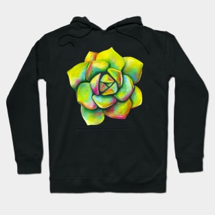 Green Succulent Hoodie